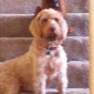 Meet your Posher, Connie